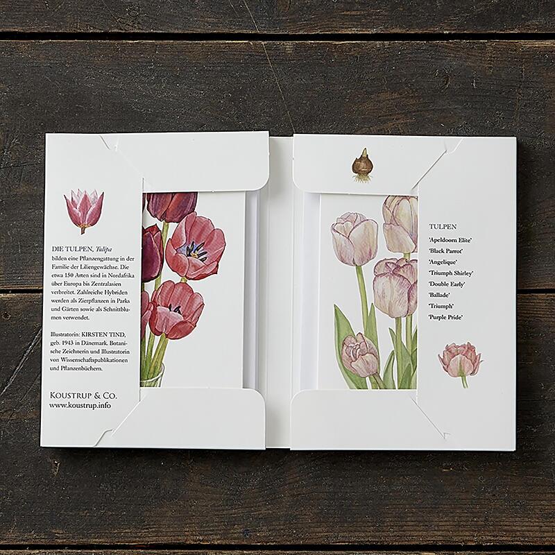 TULIPS - 8 cards (German)