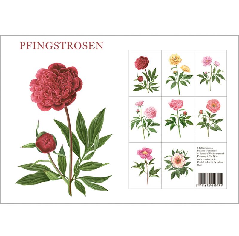 PEONIES - 8 cards (German)