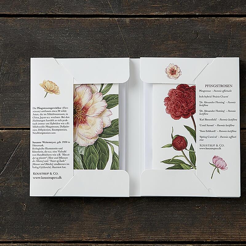 PEONIES - 8 cards (German)