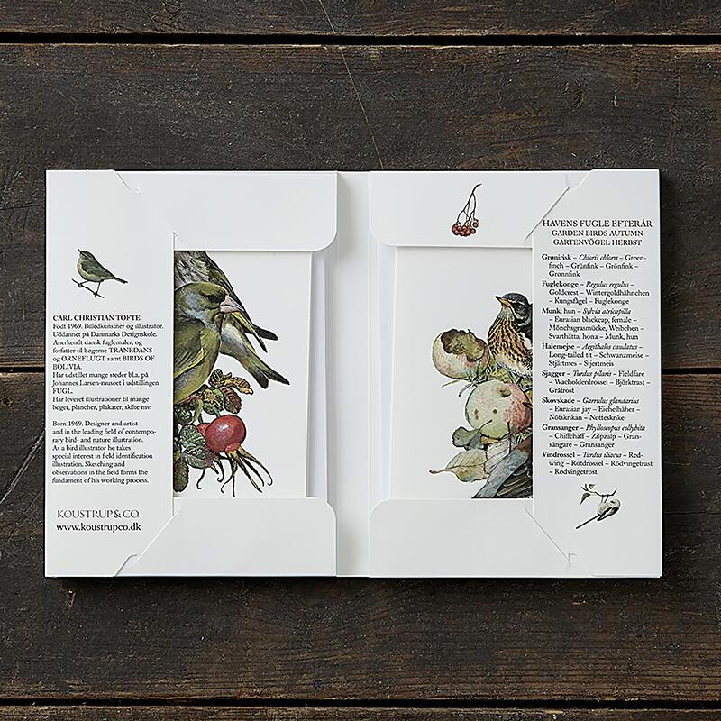 GARDEN BIRDS AUTUMN - 8 cards