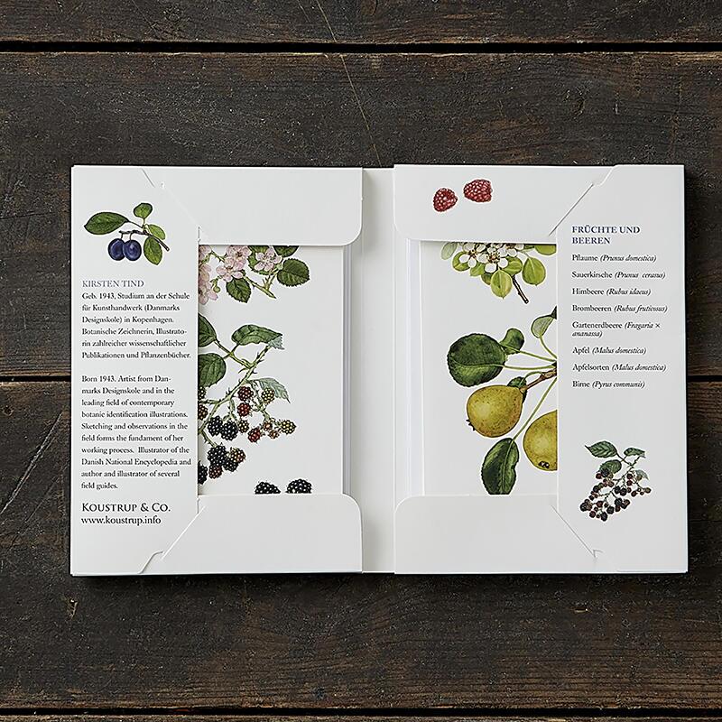 FRÜCHTE UND BEEREN - 8 cards (German)