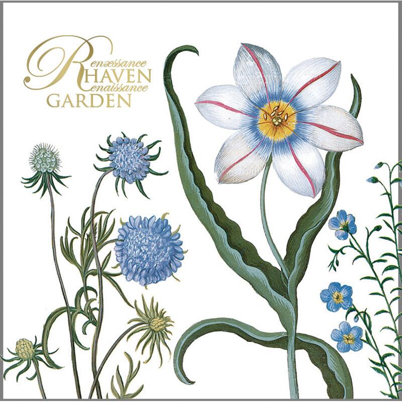 RENÆSSANCEHAVEN - Square card set