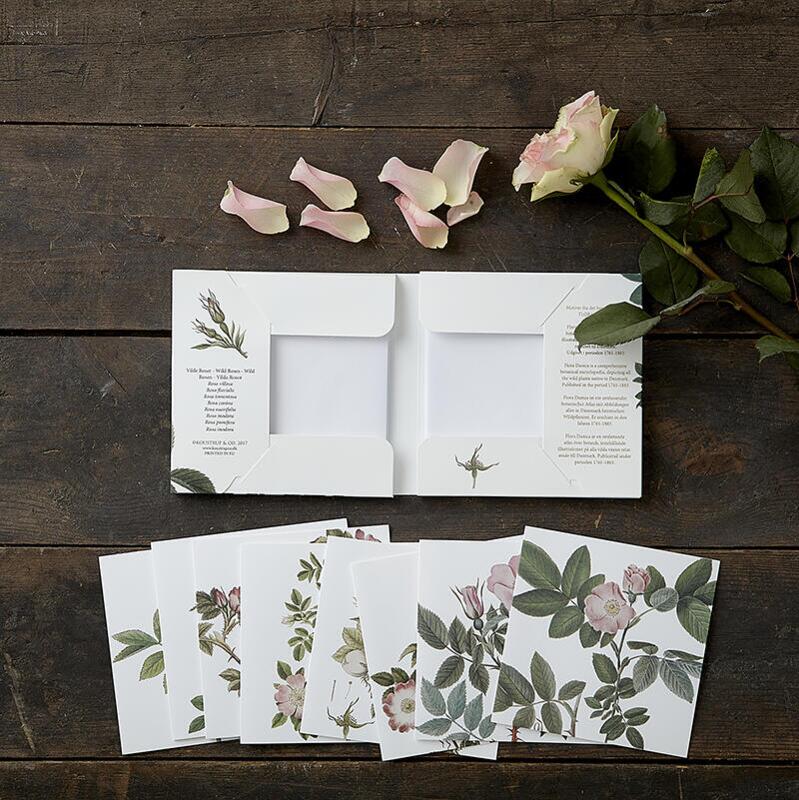 WILD ROSE - Square card set