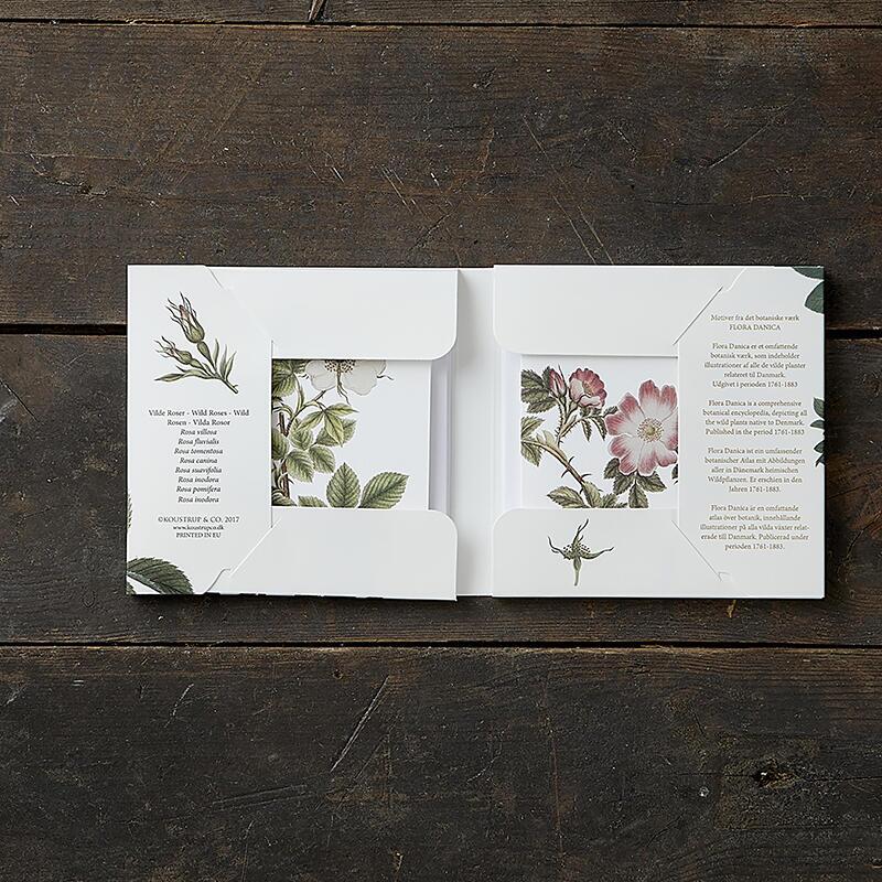 WILD ROSE - Square card set