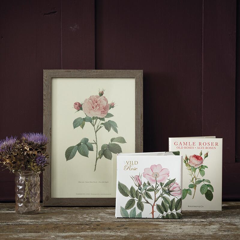 WILD ROSE - Square card set