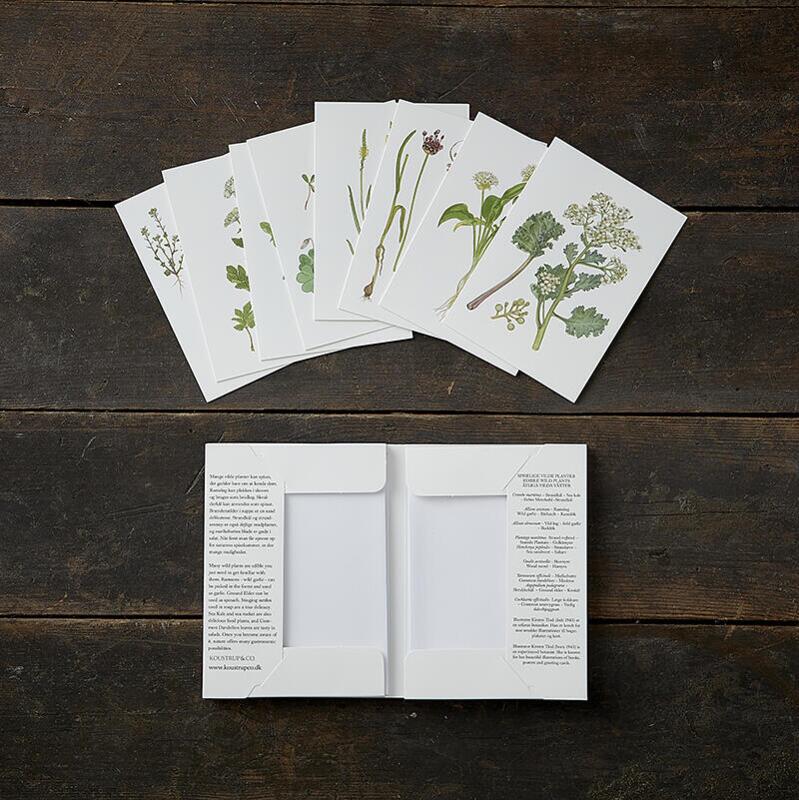 Edible Wild Plants - 8 cards