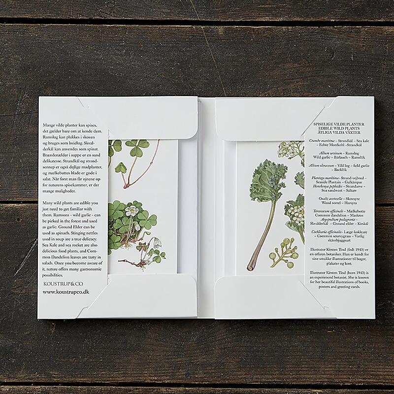 Edible Wild Plants - 8 cards