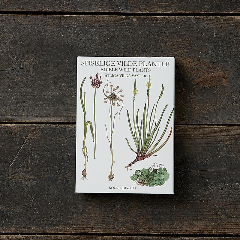 Edible Wild Plants - 8 cards