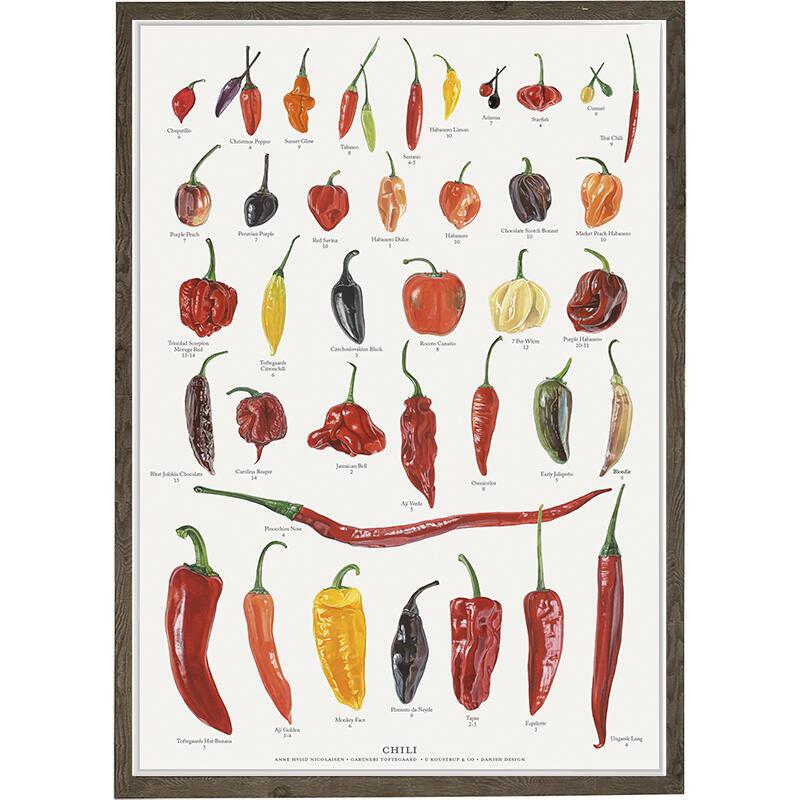 A4 Print - Chili