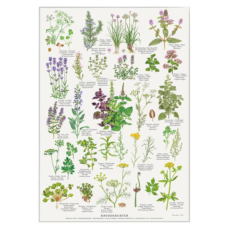 A4 PRINT - Spiced Herbs