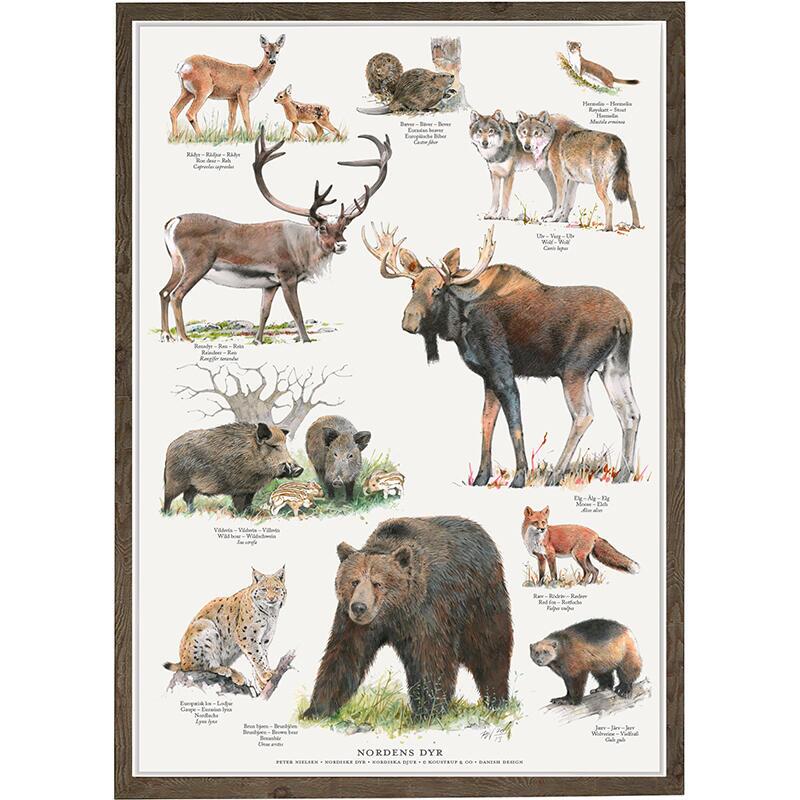 A4 print - Nordic animals (Nordens dyr)