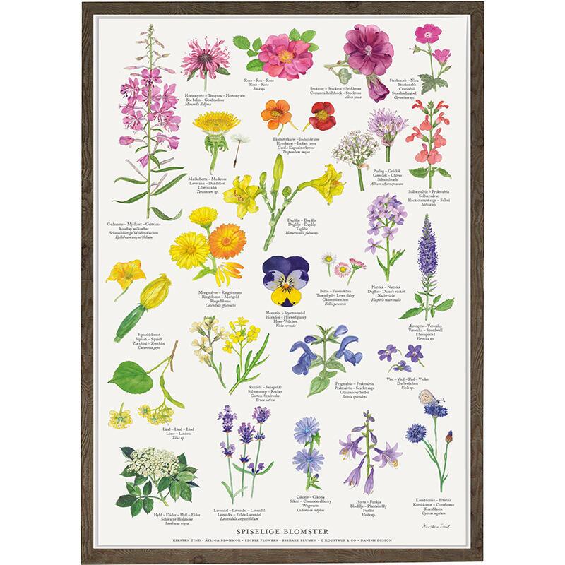 A4 PRINT – Edible Flowers
