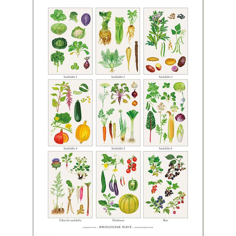 A4 print - Organic Garden