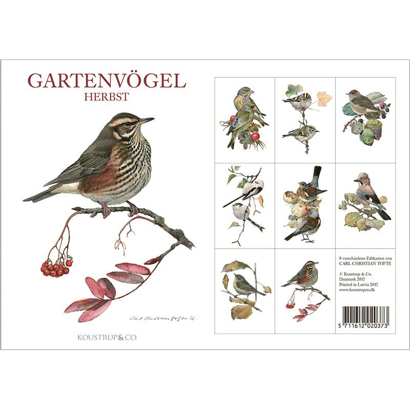 GARTENVÖGEL HERBST - 8 cards (German)