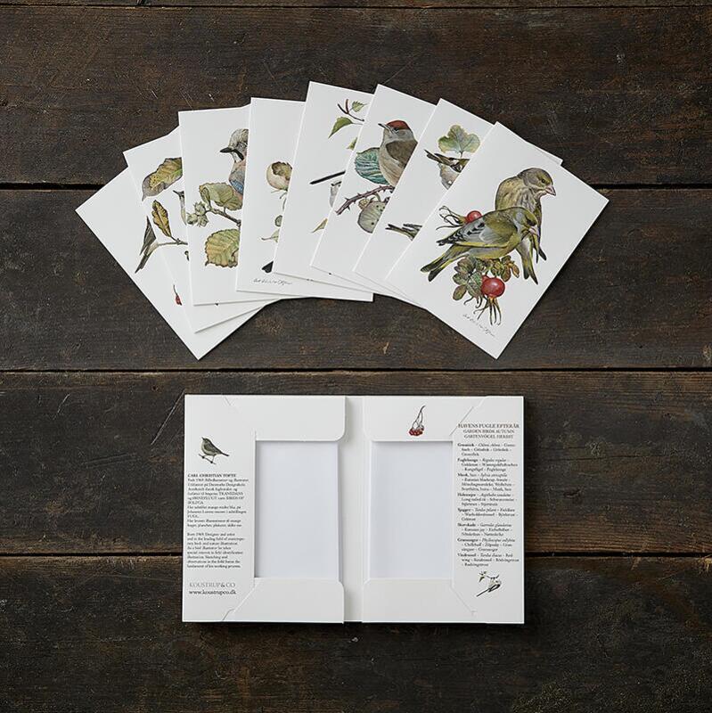 GARTENVÖGEL HERBST - 8 cards (German)