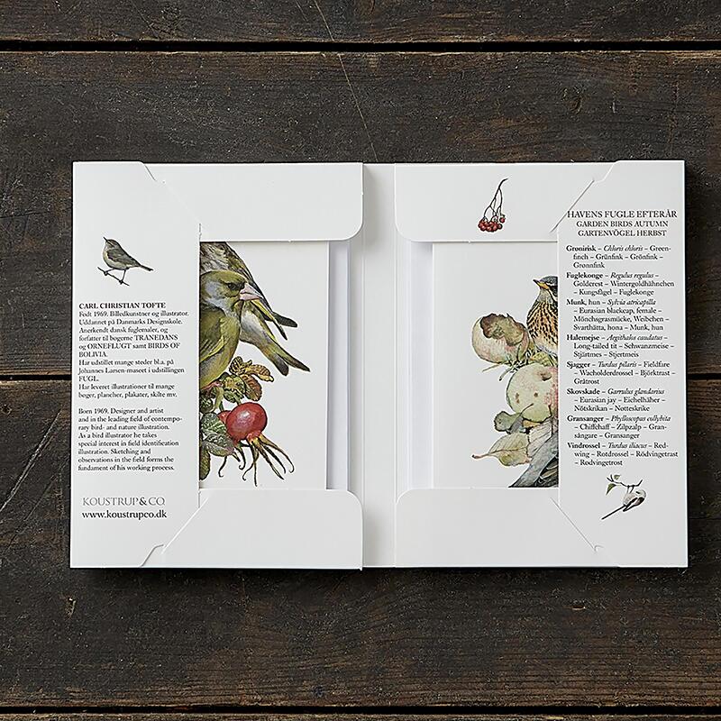 GARTENVÖGEL HERBST - 8 cards (German)