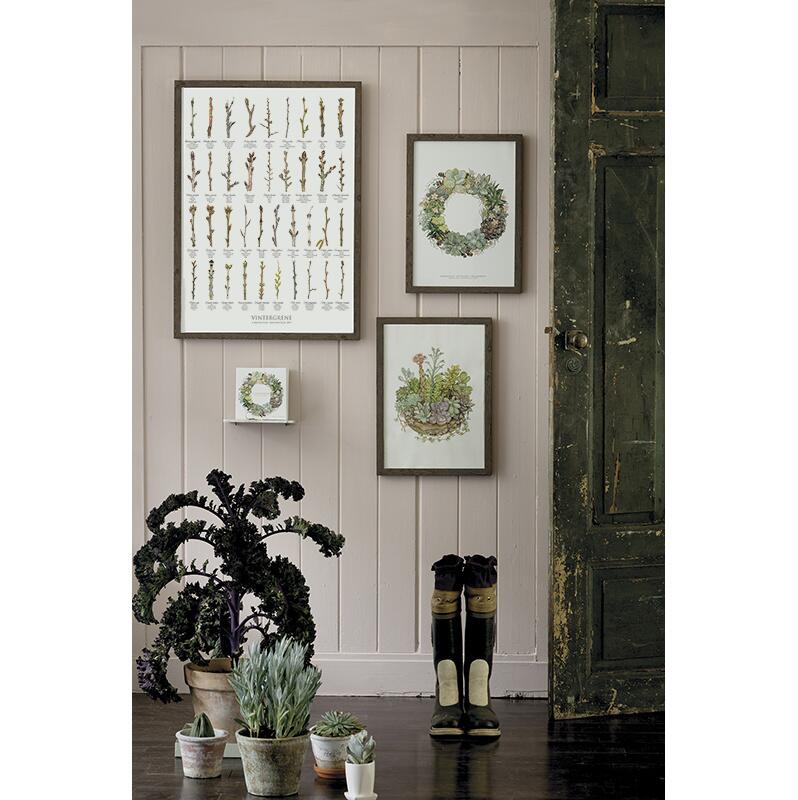 ART PRINT A3 - Succulents in a Pot