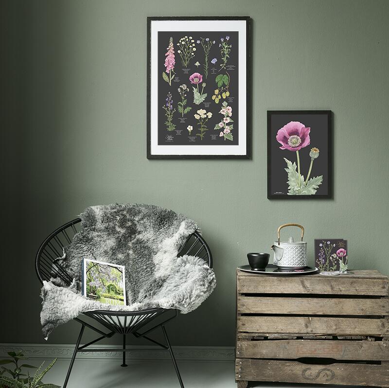 TRAY Ø38 - Pink Poppy