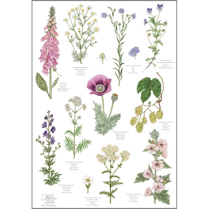 Organic Dish Towel - Klosterhaven