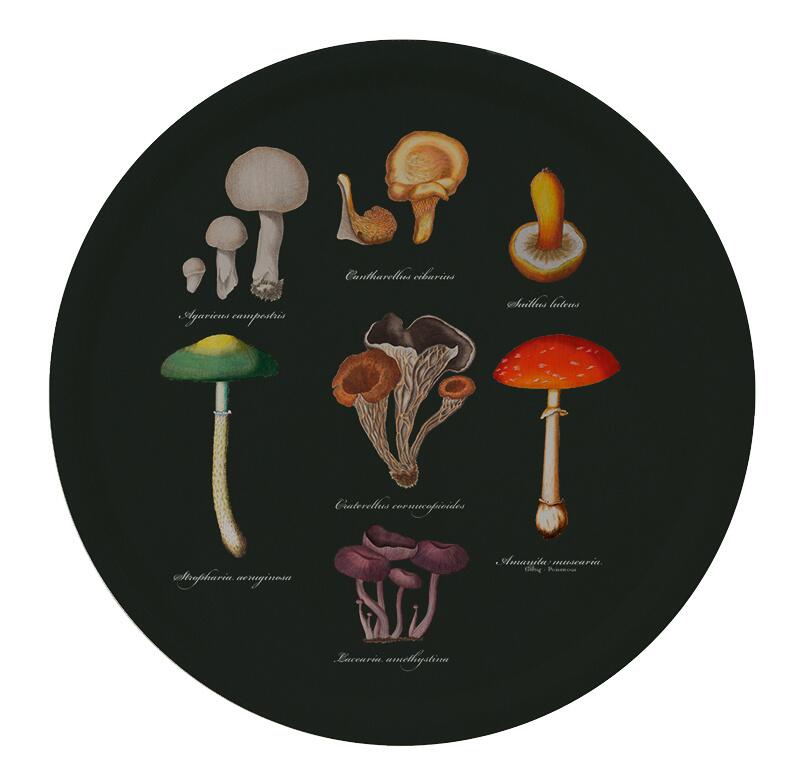 Tray Ø38 - Mushrooms