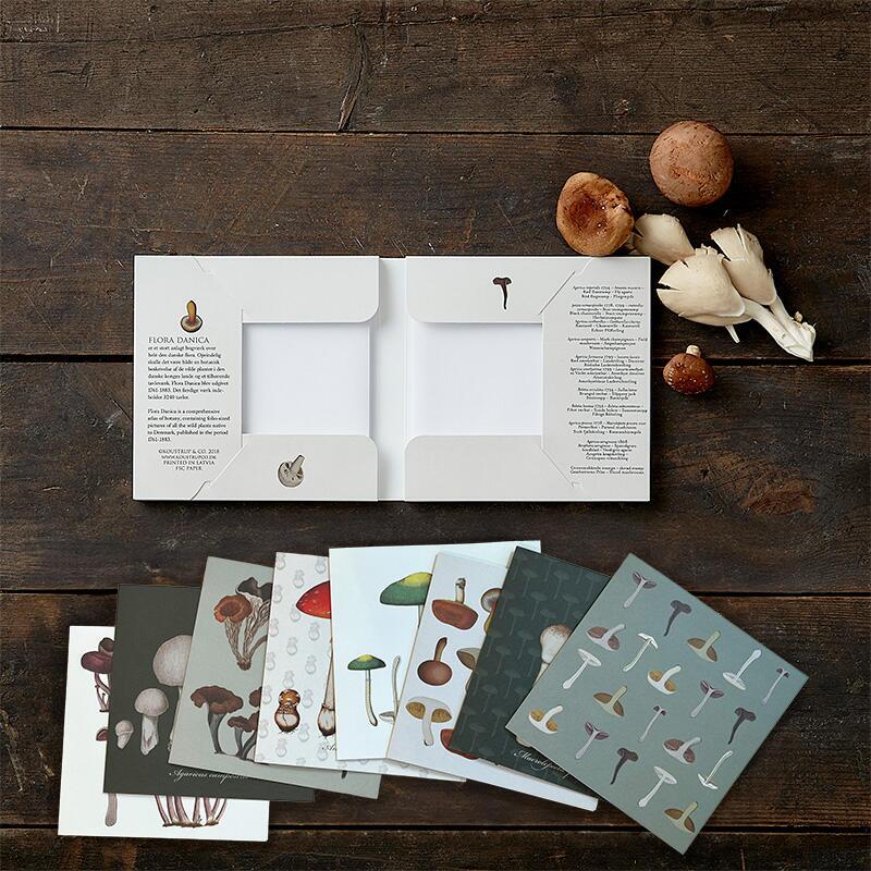 Mushrooms - Square card set