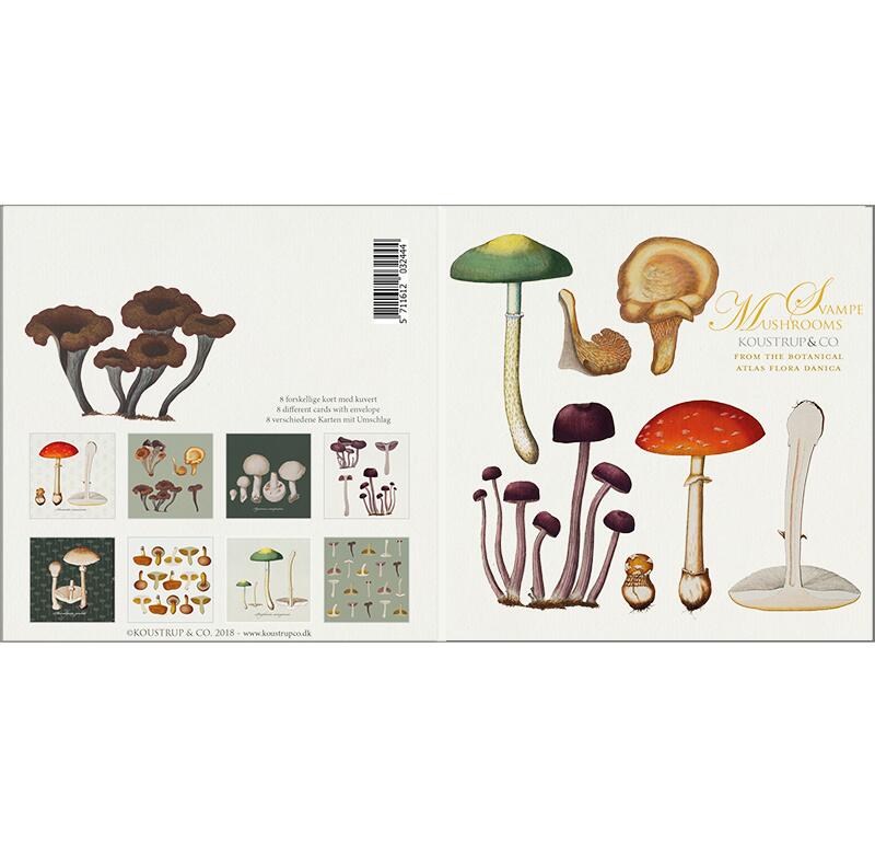 Mushrooms - Square card set