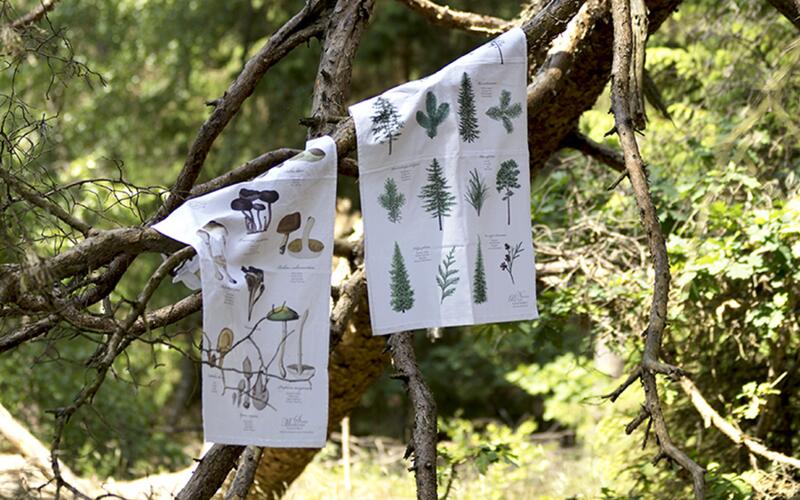 Organic tea towel with mushrooms