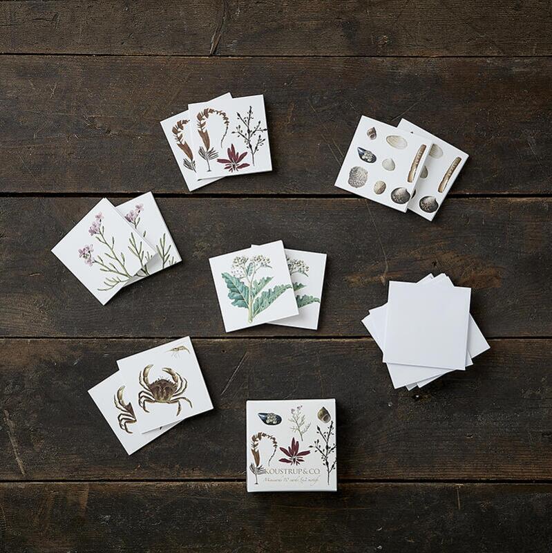 Square Mini Cards - Coastal Larder - 8.5 x 8.5 cm