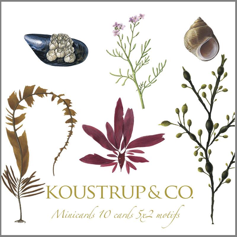 Square Mini Cards - Coastal Larder - 8.5 x 8.5 cm