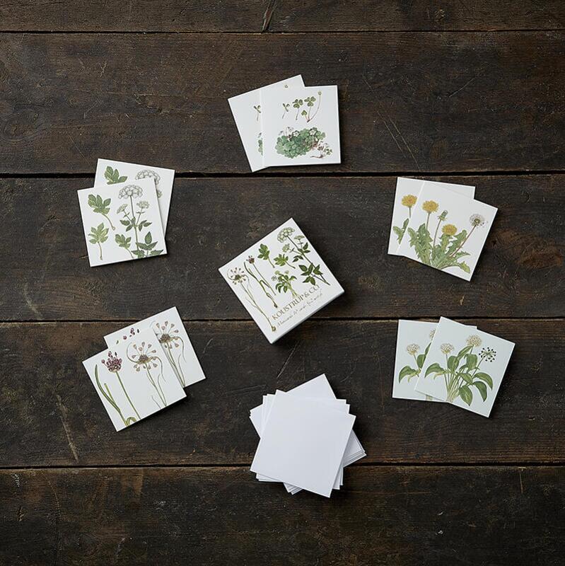 MINI SQUARE CARD - Edible wild plants - 8.5 x 8.5 cm