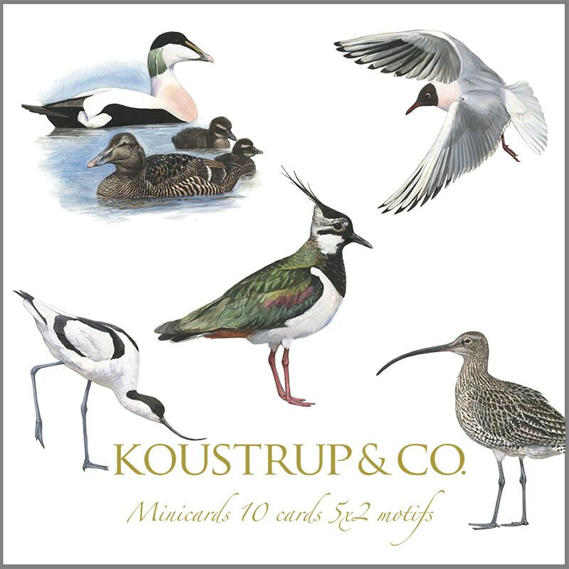 SQUARE MINI CARDS - Coastal Birds - 8.5 x 8.5 cm