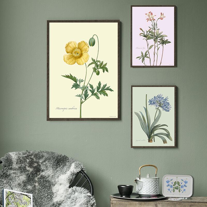 Yellow Poppy - ART PRINT - CHOOSE SIZE