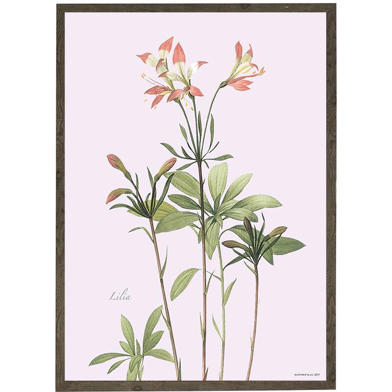 Lily - ART PRINT - CHOOSE SIZE
