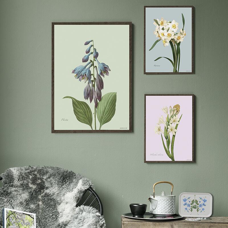 Tuberose - ART PRINT - CHOOSE SIZE