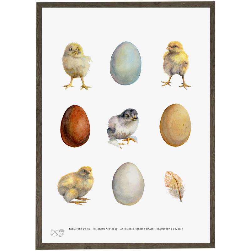 Eggs, chicks, feathers