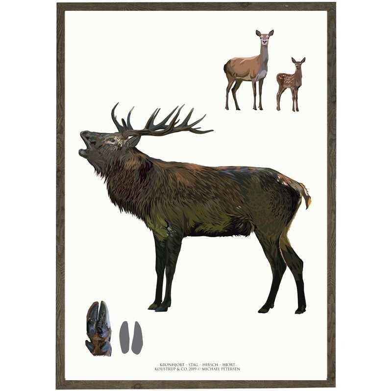Stag art print