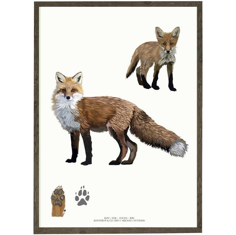 Fox art print