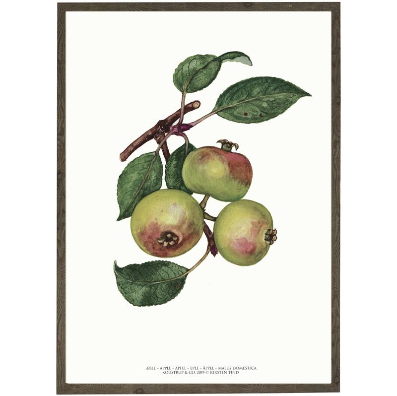 Apple - ART PRINT - CHOOSE SIZE