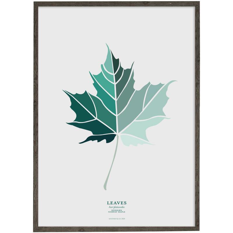 Spidsløn Leaf (petrol) - ART PRINT - CHOOSE SIZE