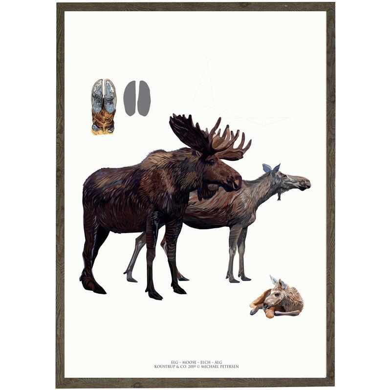Moose - ART PRINT - CHOOSE SIZE