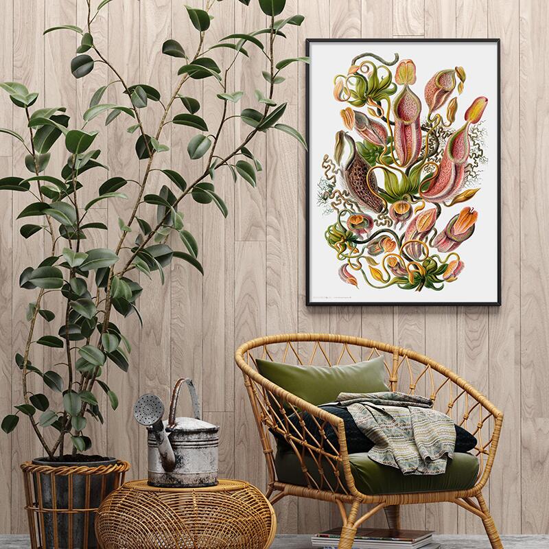 Carnivorous plant - ART PRINT - CHOOSE SIZE