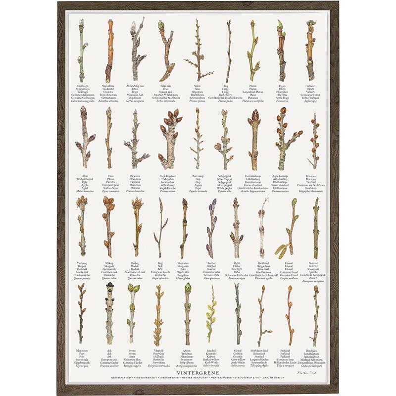 PRINT A4 - Winter Branches