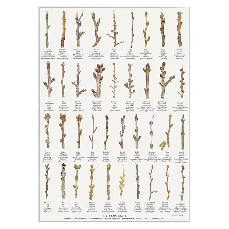 PRINT A4 - Winter Branches