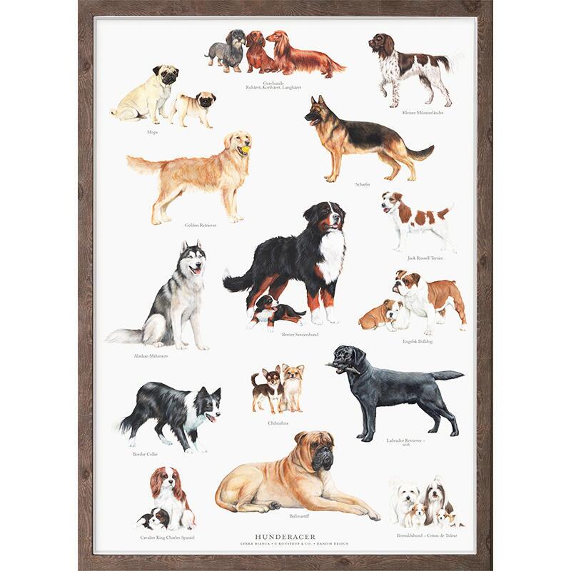 A4 PRINT - Dog Breeds
