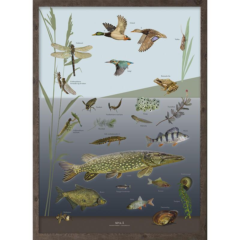 PRINT A4 - Lake & Stream