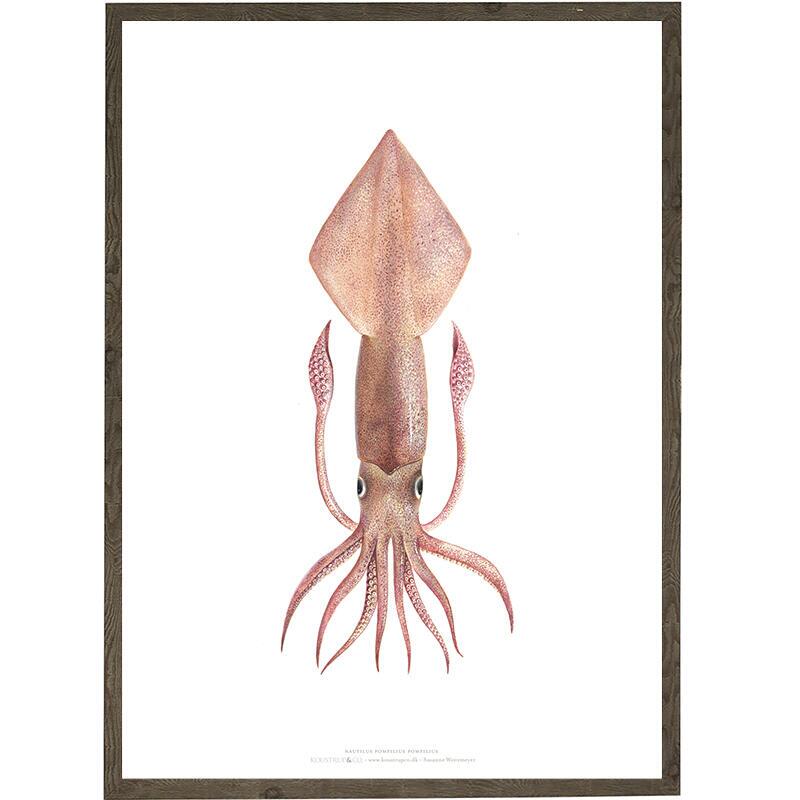 Squid - ART PRINT - CHOOSE SIZE