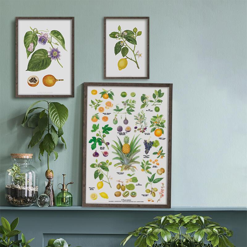 ORANGERI - Poster A2