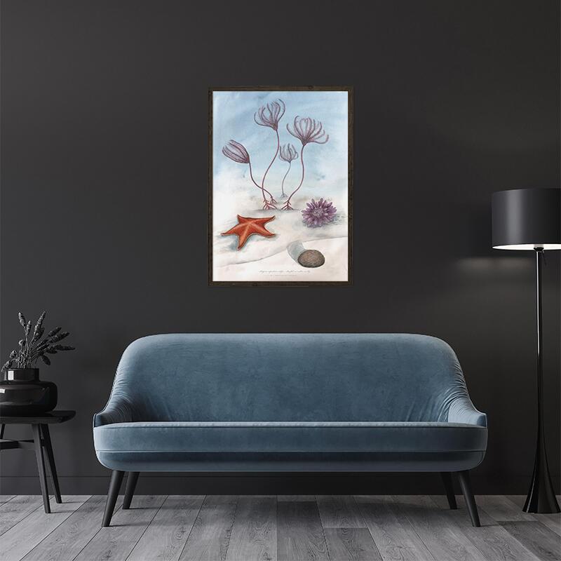 Sea Lily - ART PRINT - CHOOSE SIZE