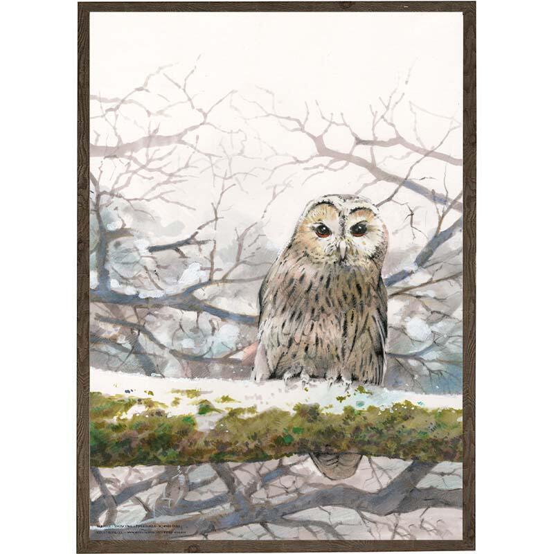 Night Owl - Art Print - Choose Size