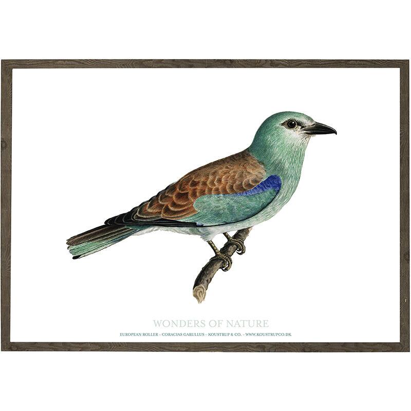 Magpie - ART PRINT - CHOOSE SIZE